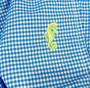 J.Crew Blue White Gingham Lime Green Embroidered Seahorse Pants Lightweight 8 thumbnail 5