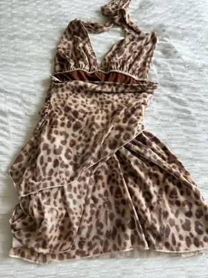 Leopard Print Dress thumbnail 2