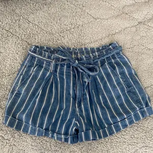 American Eagle Shorts thumbnail 1