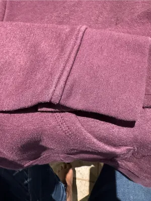 Carhartt Zip Hoodie in Plum thumbnail 4