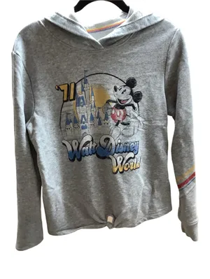 Disney Parks Size Medium Vintage Walt Disney World Hoodie, Used thumbnail 1