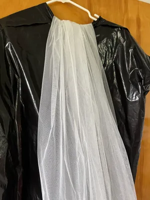 Sparkly Cathedral Veil David’s Bridal thumbnail 2