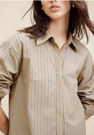 Banana Republic Neutral Stripe Long Sleeve Oversized Button Up Blouse Sz.M NWT thumbnail 1