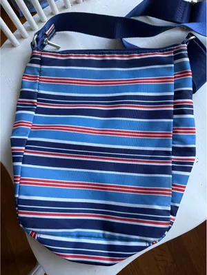 Baggallini Blue Multi-Color Stripe Crossbody Bag thumbnail 2