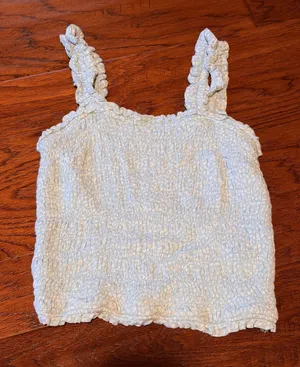 Abercrombie and Fitch Blue and White smocked crop thumbnail 1