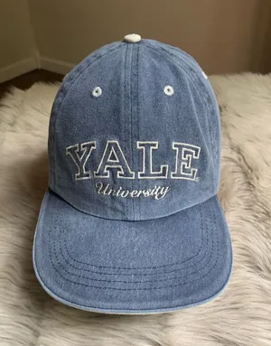 Primark Yale University Dad Hat thumbnail 1