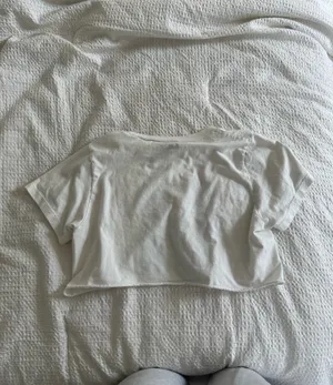 Brandy Melville Cropped T-Shirt thumbnail 2