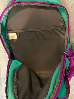 The North Face Tallac Backpack Teal And Purple Camping Hiking School thumbnail 4
