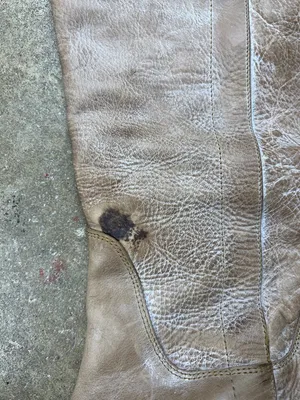 Frye Paige Tall Leather Riding Boots in Light Taupe (with flaw) Size: 9 1/2B thumbnail 2