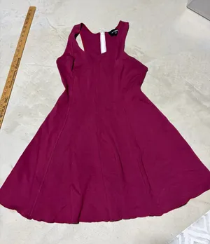 Aritzia Wilfred free Berry-Tone Sleeveless Fit & Flare Mini Dress 8 thumbnail 1