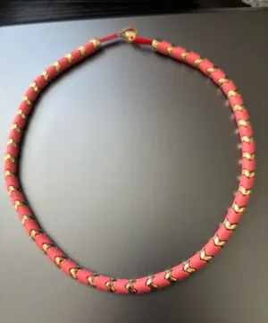Nwot Roxanne assoulin necklace thumbnail 1