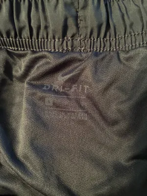 Nike Dri-Fit Shorts thumbnail 2