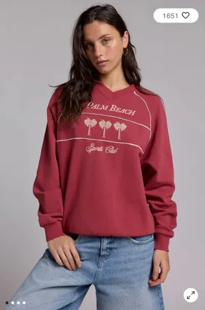 Urban Outfitters Palm Beach Sports Club Embroidered Graphic V-Neck Pullover thumbnail 1