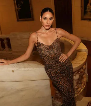 Zara Maxi Dress Mesh Cheetah Animal Print Leopard Bodycon Fitted thumbnail 3