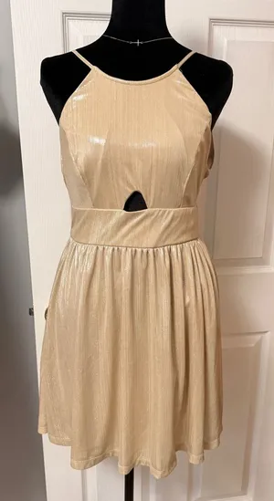 Altar’d State Shimmery Champagne Sleeveless Fit & Flare‎ Dress thumbnail 1