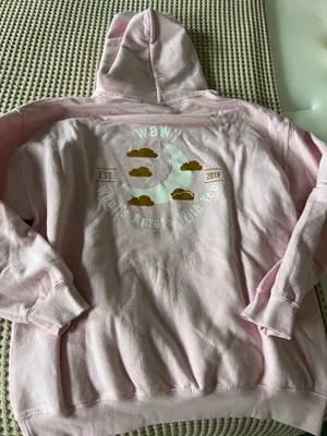 Soft light pink pullover hoodie. Features a small chest graphic logo in cream and gold tones. Front kangaroo pocket. Drawstring hood. Casual and cozy style. thumbnail 2