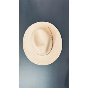 Abercrombie & Fitch Panama Wool Wide Wyeth Shea Hat Western resort Putty color thumbnail 6