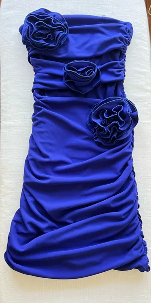 ZARA Dress thumbnail 1