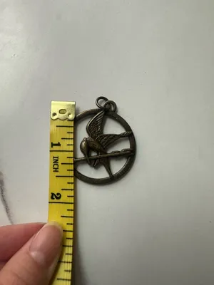 Hunger Games Medallion circa 2010s Bronze color. Hunger Games. thumbnail 3
