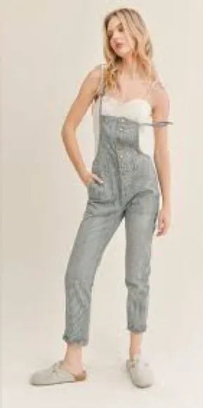 Sage The Label Blue and White Striped Overalls Size Medium‎ NWT thumbnail 1