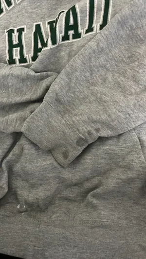 Brandy Melville hoodie thumbnail 2