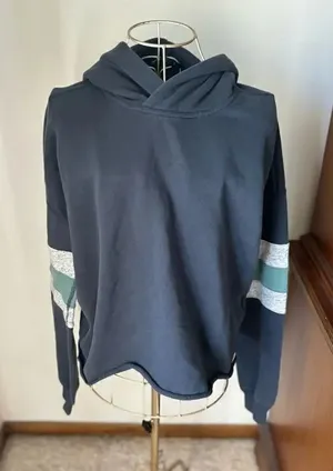 Abercrombie & Fitch Hoodie Sweatshirt Striped Sleeves Size S Navy thumbnail 1
