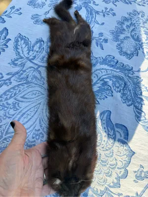 Vintage Full Body Mink Fur Stole Wrap Scarf Real Brown Fur 21” w/ Face Tail Legs thumbnail 4