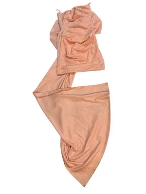 Lovely Day Strapless Peach Mini Dress with Dramatic Back Bow thumbnail 4