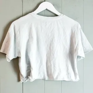 AMERICAN EAGLE OUTFITTERS Logo Floral Embroidered Crop Tee M thumbnail 2