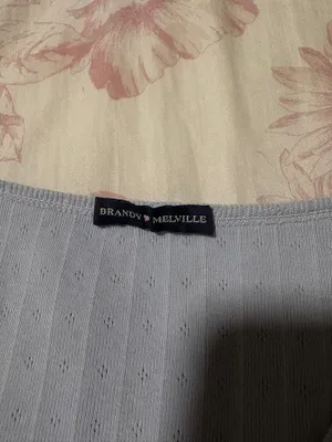 Brandy Melville Light Blue Long Sleeve Top thumbnail 2