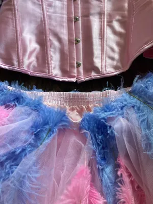 Barbie Swan Lake Costume Multiple Size L thumbnail 3