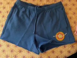 PacSun Shorts thumbnail 1