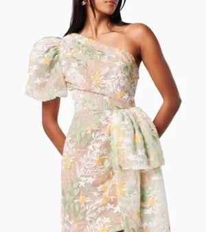 Elliatt Dress thumbnail 1