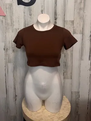 Brown Cropped Short Sleeve Tee Womens Size XS Crew Neck Basic T-Shirt Layering thumbnail 1