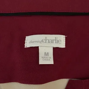 Charming Charlie Colorblock Semi-Sheer V-Neck Blouse | Size M thumbnail 5