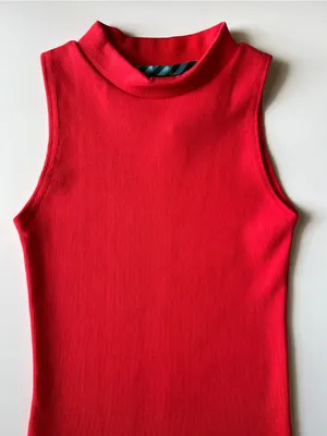 Red Ribbed Bodycon Mini Dress XS Sleeveless Mock Neck Stretch Fitted Chic thumbnail 5
