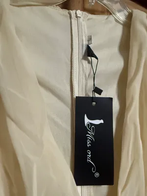 Missy Ord Beige Chiffon Mini Dress thumbnail 2