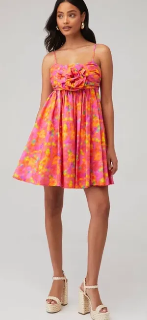 AMUR Dress thumbnail 1