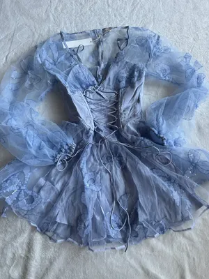 For Love & Lemons Presley Mini Dress thumbnail 4