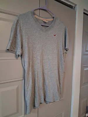 Hollister v-neck t-shirt bird logo on left chest short sleeve in gray grey size large. thumbnail 3