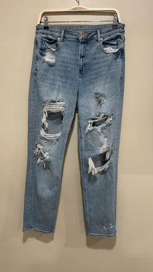 American Eagle mom jeans size 10R thumbnail 1