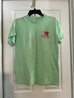 Girlie Girl Originals Mint Short-Sleeve Graphic Tee - Pig Deal thumbnail 3