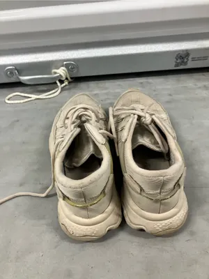 Adidas Originals-Ozweego Taupe Sneakers thumbnail 2
