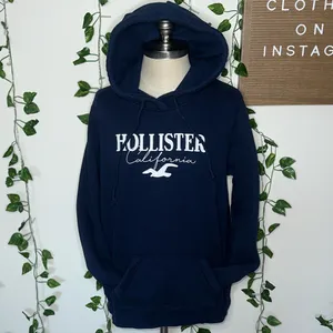 Hollister Easy Appliqué Logo Graphic Hoodie Navy Blue thumbnail 2