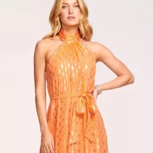 Ramy Brook Kenza Gown $695 Scintillating Hi Low Formal Flowy Dress nwt Prom 00 thumbnail 8
