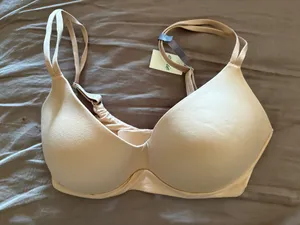 Aerie 34DD Nude Wireless Bra NWT thumbnail 1