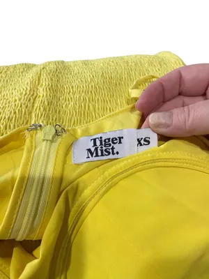 Tiger Mist Joslin Mini Dress Yellow Size XS Coquette Sabrina Carpenter Romantic thumbnail 3