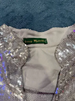 Josey Wynette Silver Sequin Long Sleeve V-Neck Blouse and Matching Jogger Set thumbnail 4