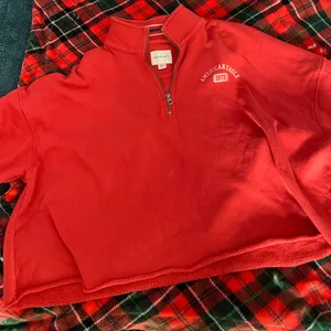American Eagle Red Cropped Sweatshirt thumbnail 1