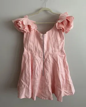 Bardot Sigma Mini Dress In Soft Pink thumbnail 14